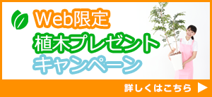 インターネット限定植木プレゼントキャンペーン！詳しくはこちら