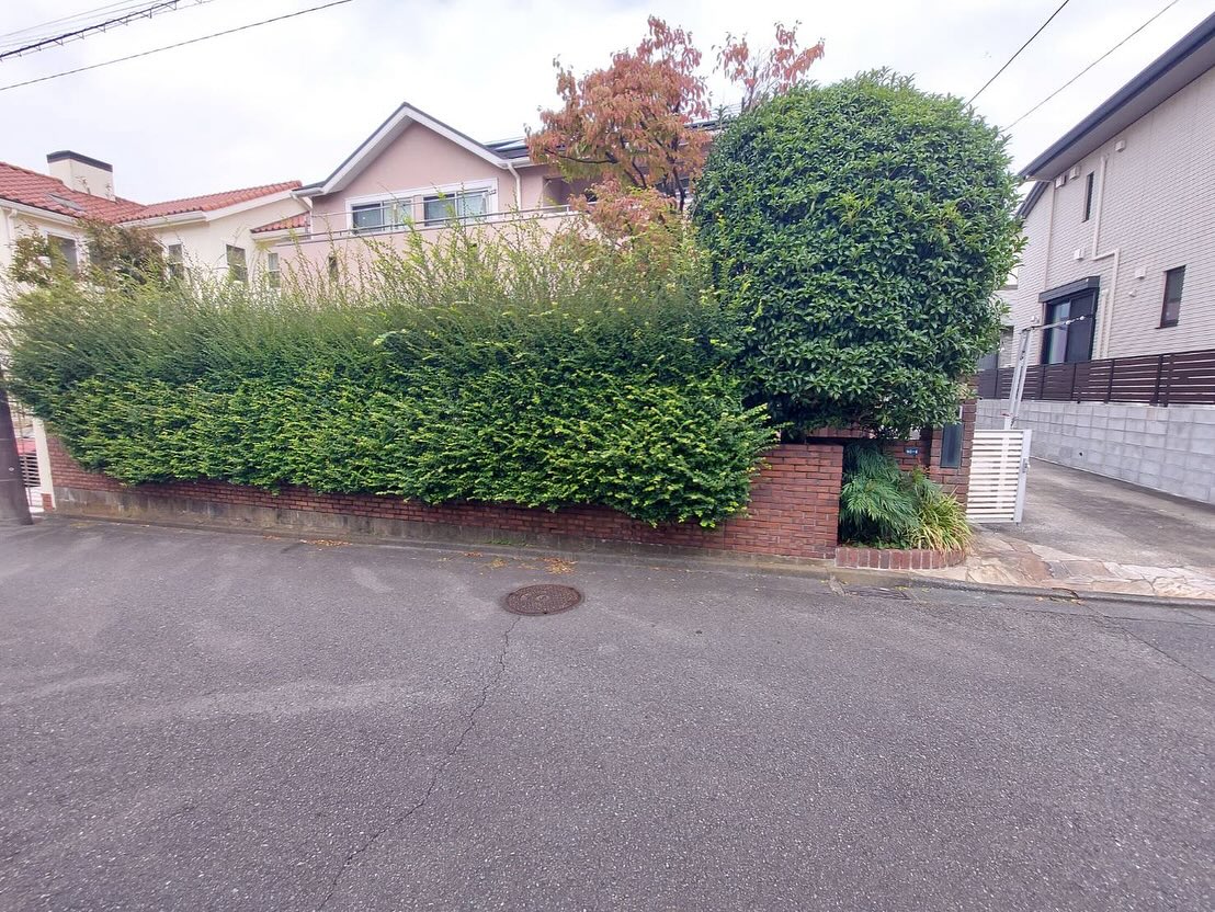 202510290810041852381851