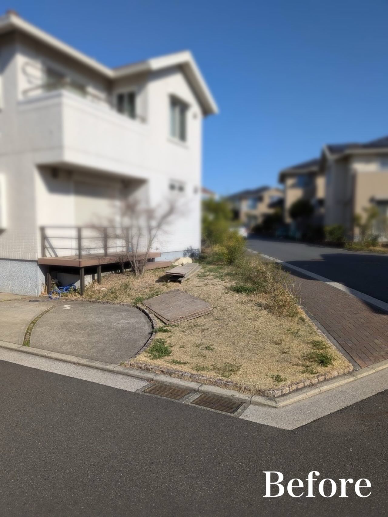 202604170120041592272812